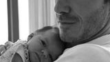 Harper Beckham, David Beckham