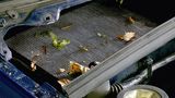 Ein Auto saugt den Dreck förmlich an
