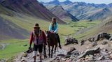 Muli mit Touristin in Berglandschaft