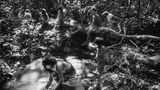 "Exodus" von Sebastião Salgado: Wenn das Leben zu Hause einfach nicht mehr möglich ist