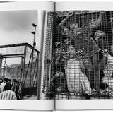 "Exodus" von Sebastião Salgado: Wenn das Leben zu Hause einfach nicht mehr möglich ist