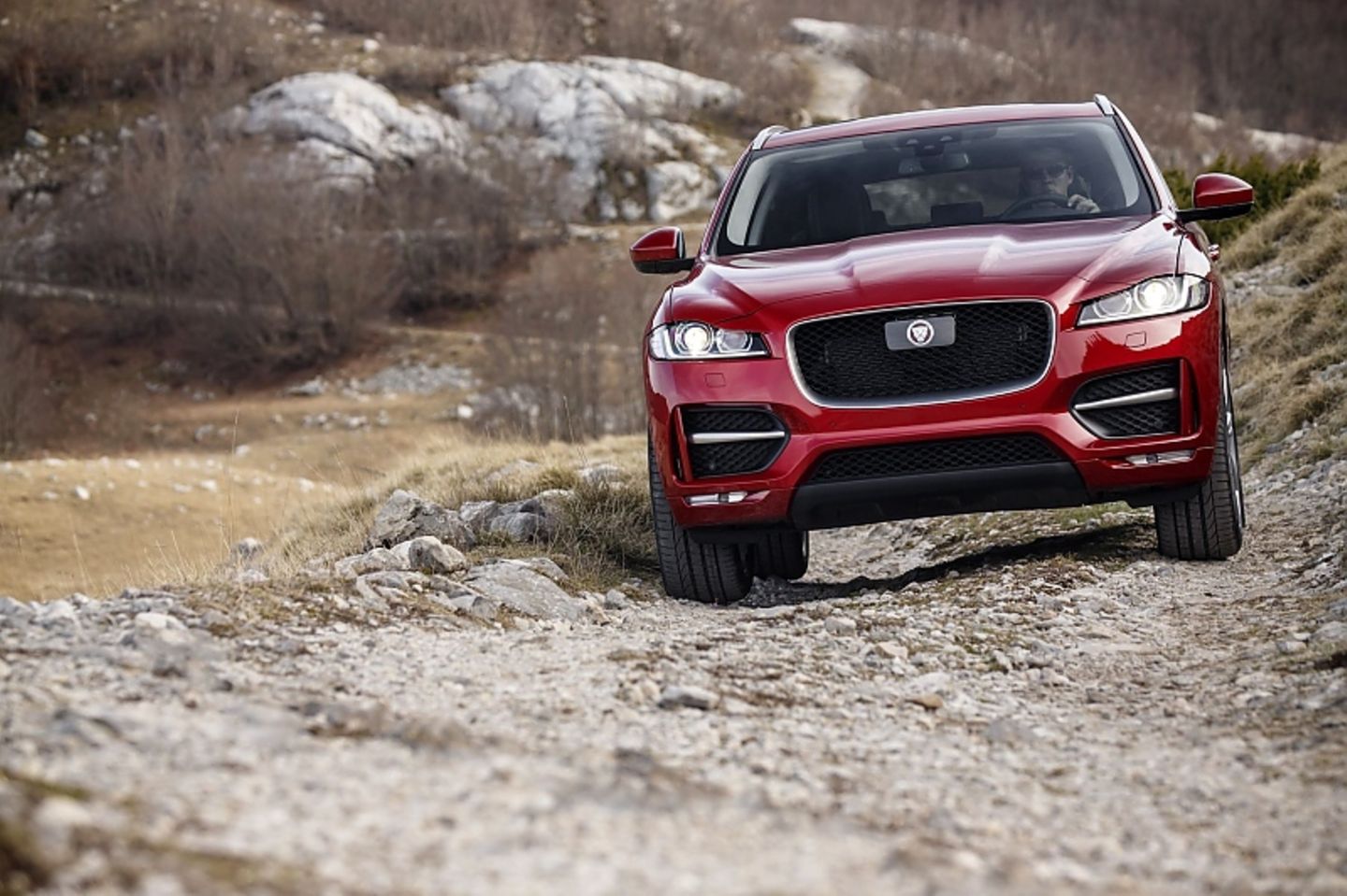 Auch im Gelände schlägt sich der Jaguar F Pace 2.0d