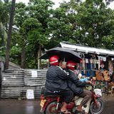 Wenn es mal wieder regnet...