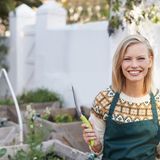 Gartengeräte in der Geschirrspülmaschine