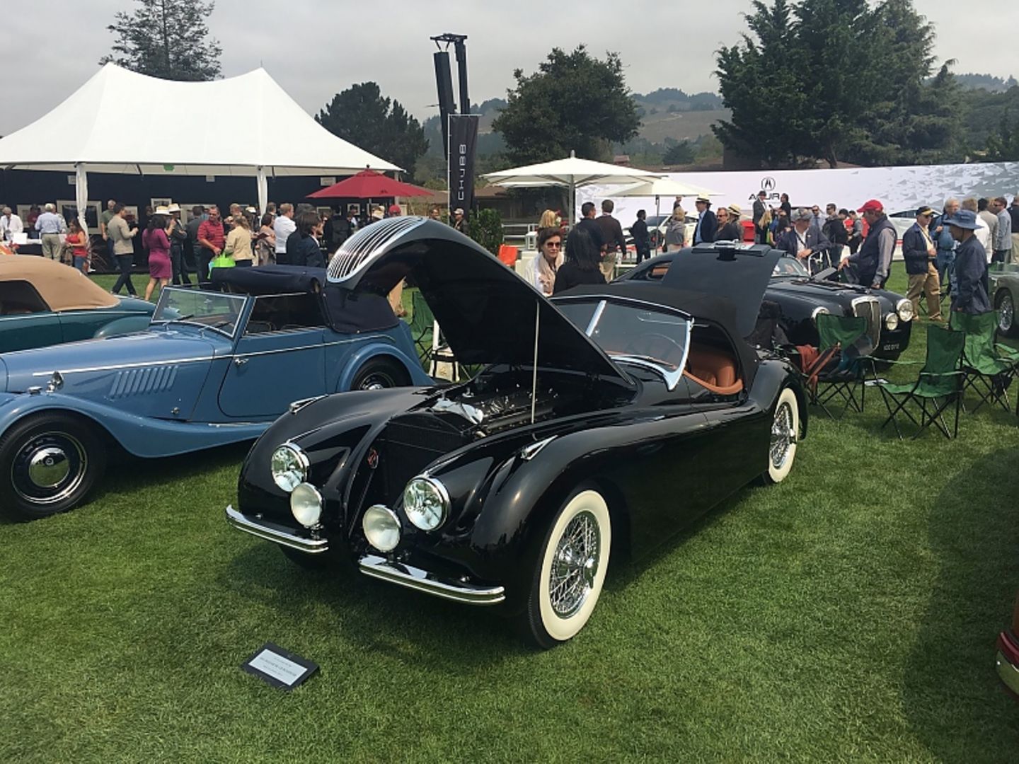 Jaguar XK 140 in The Quail