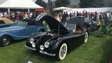 Jaguar XK 140 in The Quail