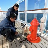 Kennels mit Hydranten am Bord der Queen Mary 2