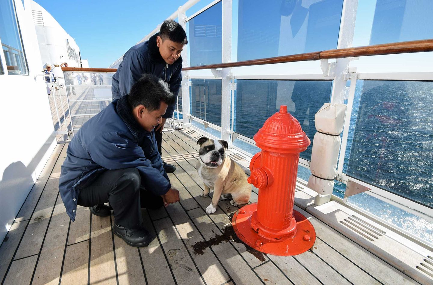 Kennels mit Hydranten am Bord der Queen Mary 2 Kennels mit Hydranten am Bord der Queen Mary 2