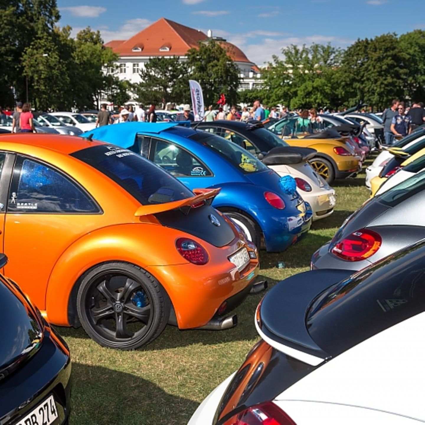 Beetle Sunshine Tour Stilvolles Krabbeln Stern De