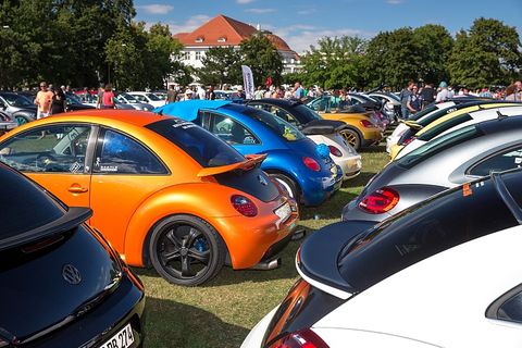 Fein säuberlich stehen die Beetle da