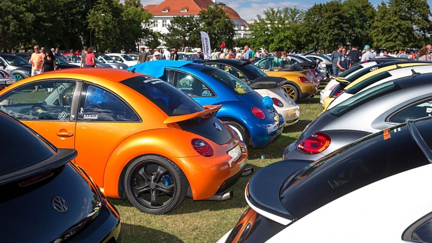 Beetle Sunshine Tour Stilvolles Krabbeln STERN.de