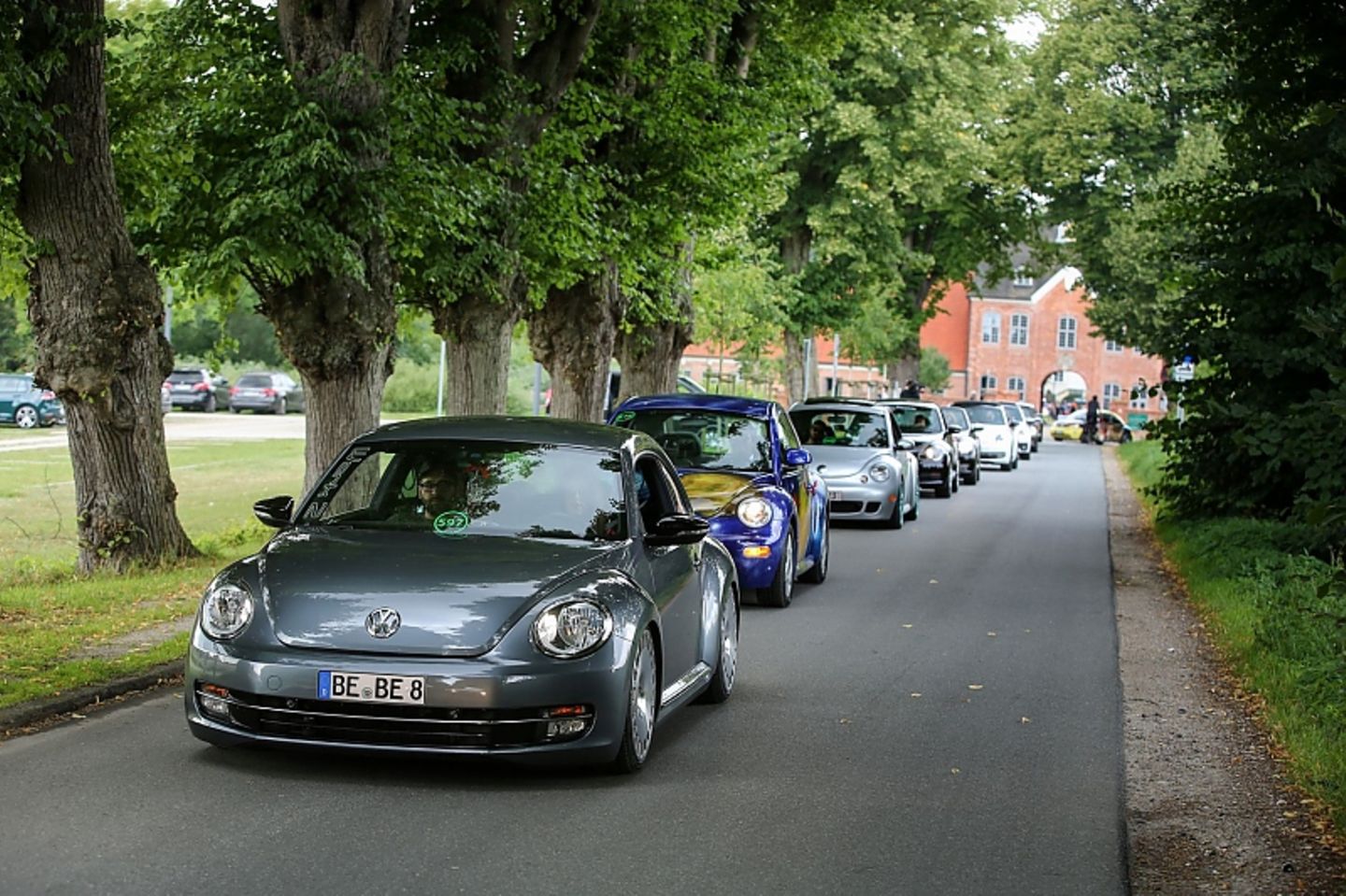 Die Beetle-Jünger präsentieren stolz ihre Autos