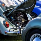 Auch klassische Käfer sind herzlich willkommen