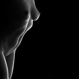 Aktfotografie von Martin Zurmühle: Die Architektur des Körpers