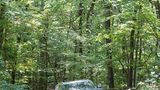 Volkswagen Midsize SUV USA