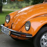 Die "Augen" mit den schwarzen Umrandungen schauen verträumt