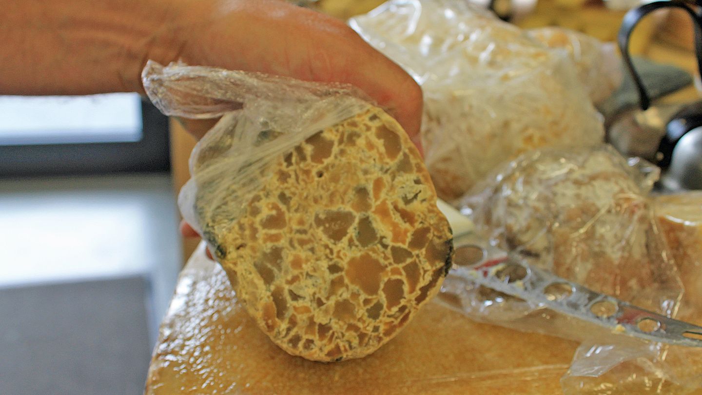 Schafkopf  Das Rezept ist das gleiche wie beim Belper Mürggel. Nur hier wird keine Kuhmilch, sondern Schafsmilch verwendet. Daher auch der Name. Die "Marmorierung" sind die Käsekörner, die beim Käsebruch entstehen. Geschmacklich muss man sich bei diesem Käse festhalten. Erst ist er sanft, dann wird er kräftig und intensiv, einige Sekunden später wird er im Mund staubtrocken und der Kopf wird schwindelig. Nichts für zarte Gemüter. Verkauft wird Schafkopf an absolute Käse-Nerds. Ein Erlebnis ist ein Bissen davon allemal. 