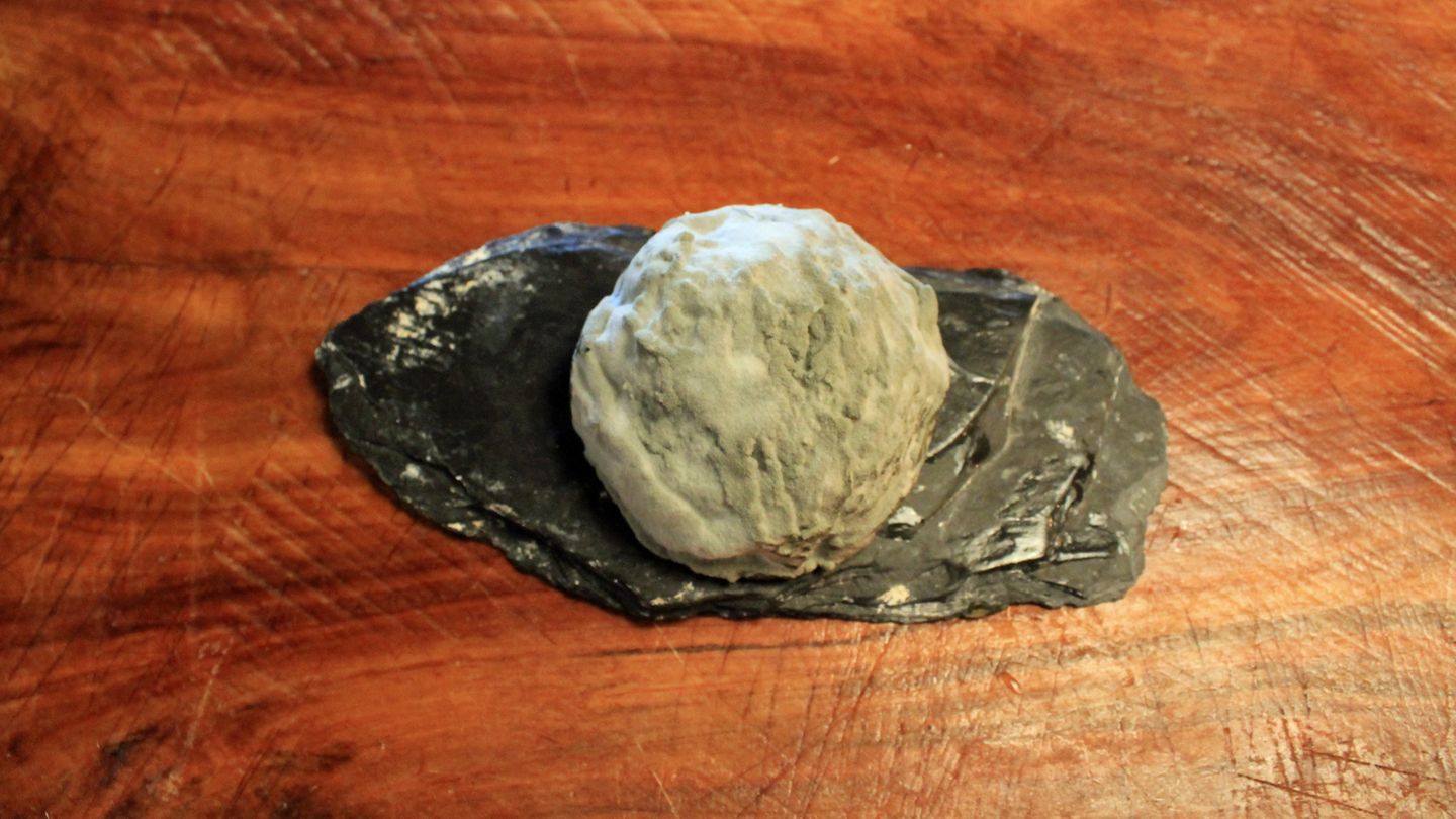 Nach ein paar weiteren Wochen bildet sich bereits ein weißer Schimmel. Hier würden die meisten dazu tendieren, den Käse in den Mülleimer zu werfen. Das wäre aber fatal ...