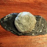 Nach ein paar weiteren Wochen bildet sich bereits ein weißer Schimmel. Hier würden die meisten dazu tendieren, den Käse in den Mülleimer zu werfen. Das wäre aber fatal ...