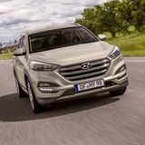 1,85 Meter breit und...