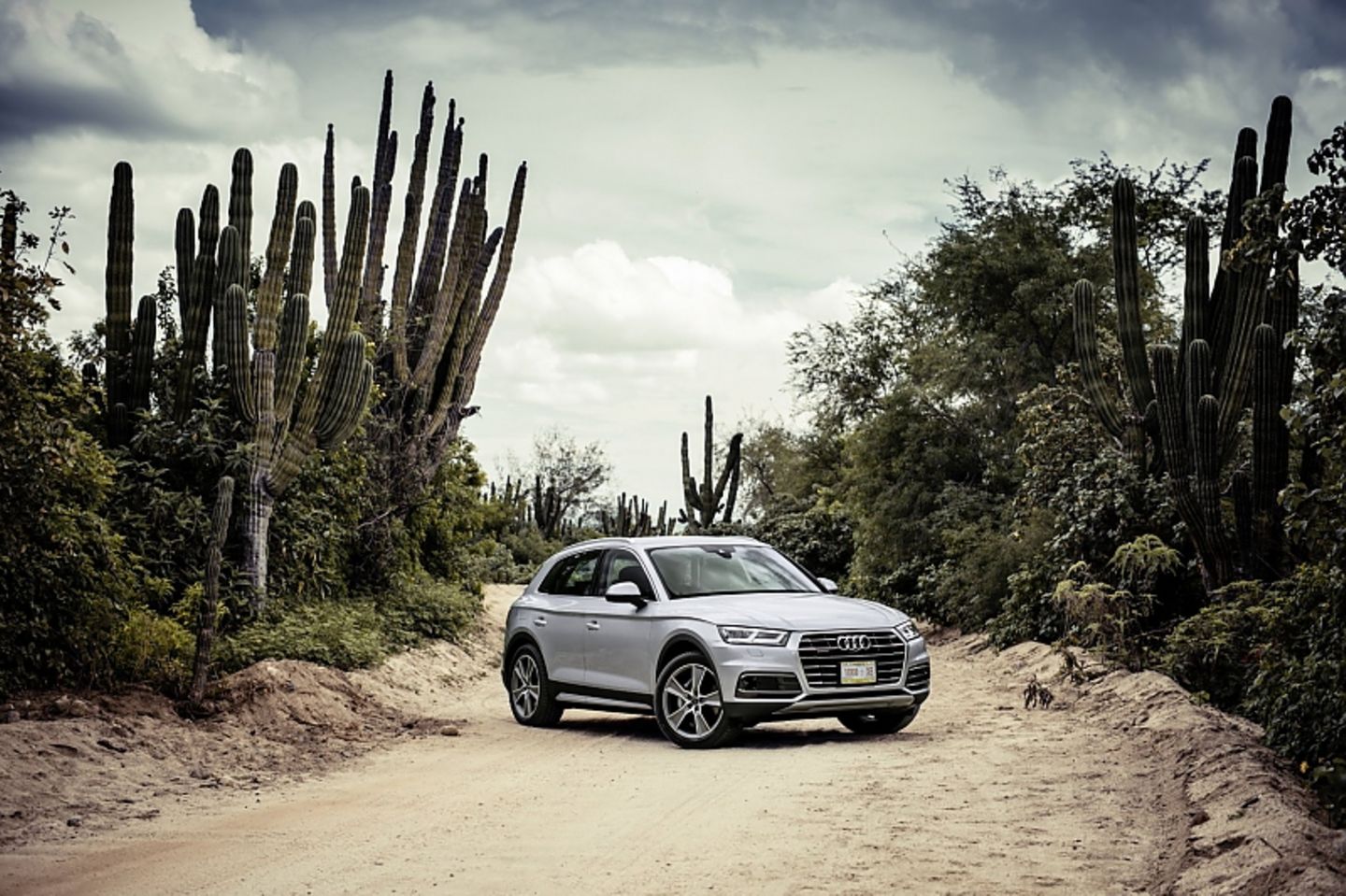 Audi Q5 3.0 TDI Quattro