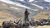 Himmelsbestattung in Tibet