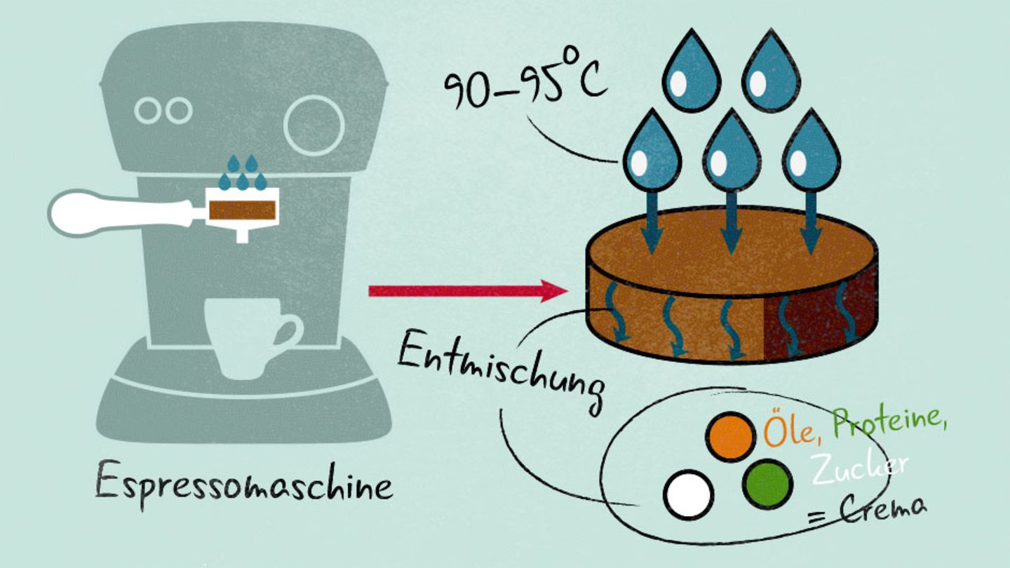 Kulinarisches Rätsel: Extraktion Die meisten Aromen sind fettlöslich. Wasser kann sie nur aus dem Kaffee ziehen, wenn es unter hohem Druck (9 bar) und bei hoher Temperatur (90 bis 95 Grad) durch den Kaffeekuchen strömt. Um Öle, Proteine und Zucker optimal zu lösen, sollte die Kontaktzeit mit dem Kaffee 20 bis 30 Sekunden betragen. So gelangt die größte Menge an Aromen in die Tasse. Doch entscheidend für die Crema ist das im Kaffee enthaltende Kohlendioxid. Neben den Aromen wird auch das CO2 gelöst. Wenn es den Siebträger verlässt, gast es sofort aus, weil Temperatur und Drucks schlagartig fallen. Ergebnis: Es entsteht ein feinporiger Schaum. Extraktion Die meisten Aromen sind fettlöslich. Wasser kann sie nur aus dem Kaffee ziehen, wenn es unter hohem Druck (9 bar) und bei hoher Temperatur (90 bis 95 Grad) durch den Kaffeekuchen strömt. Um Öle, Proteine und Zucker optimal zu lösen, sollte die Kontaktzeit mit dem Kaffee 20 bis 30 Sekunden betragen. So gelangt die größte Menge an Aromen in die Tasse. Doch entscheidend für die Crema ist das im Kaffee enthaltende Kohlendioxid. Neben den Aromen wird auch das CO2 gelöst. Wenn es den Siebträger verlässt, gast es sofort aus, weil Temperatur und Drucks schlagartig fallen. Ergebnis: Es entsteht ein feinporiger Schaum.