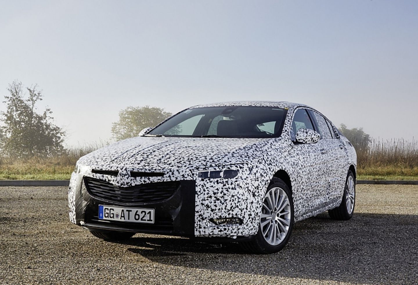 Opel Insignia 2017