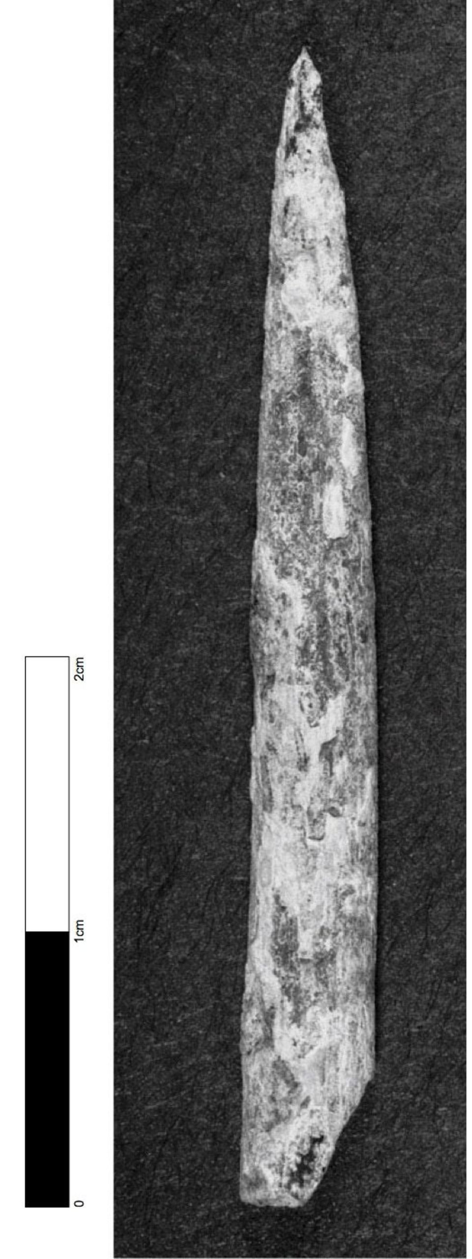 Das älteste Knochenwerkzeug, das in Australien bislang entdeckt wurde, stammt aus der "Warratyi"-Höhle.
