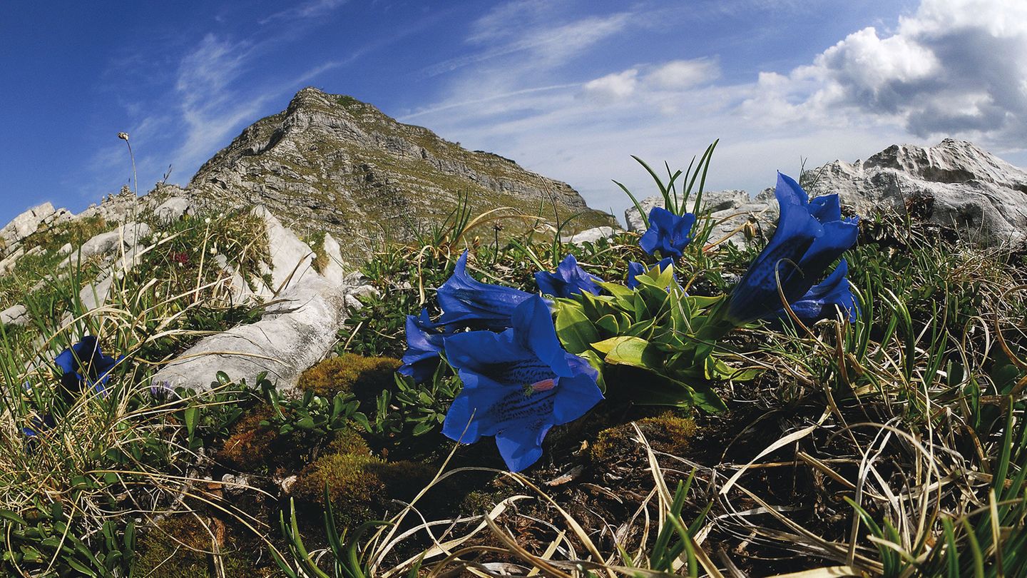 Karwendel