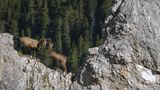 Karwendel