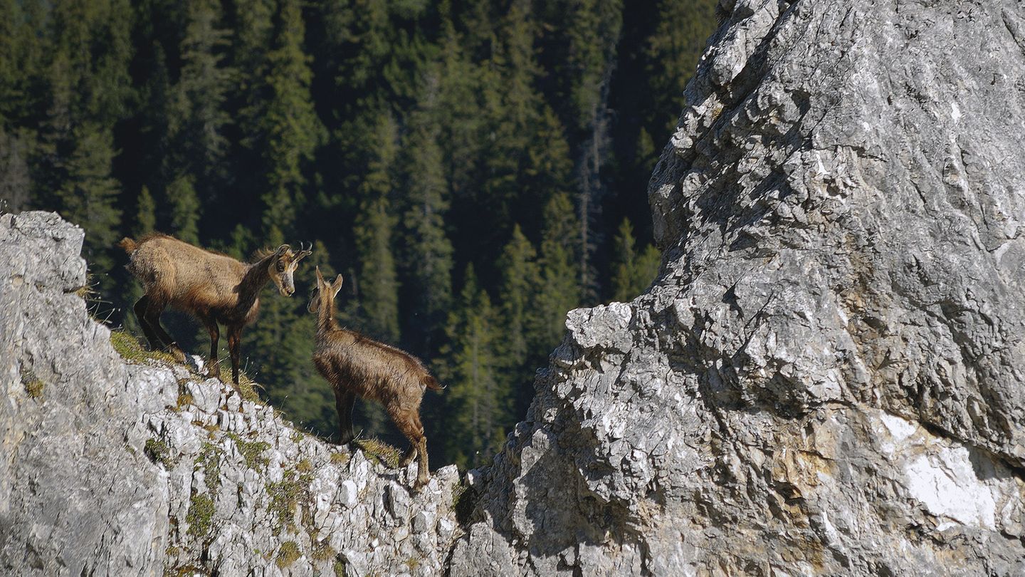 Karwendel