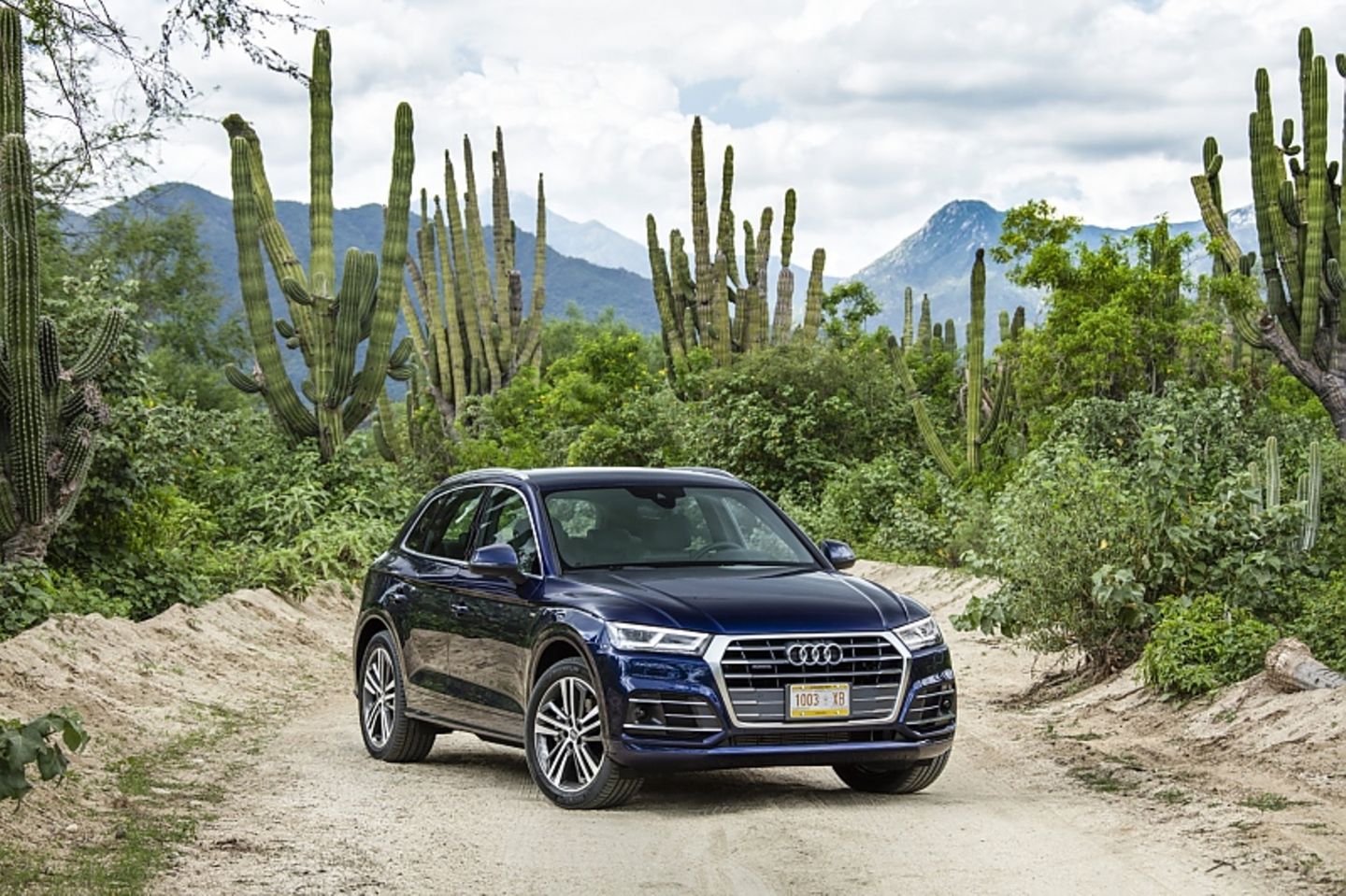 Audi Q5 2.0 TFSI Quattro - kann auch im Gelände überzeugen