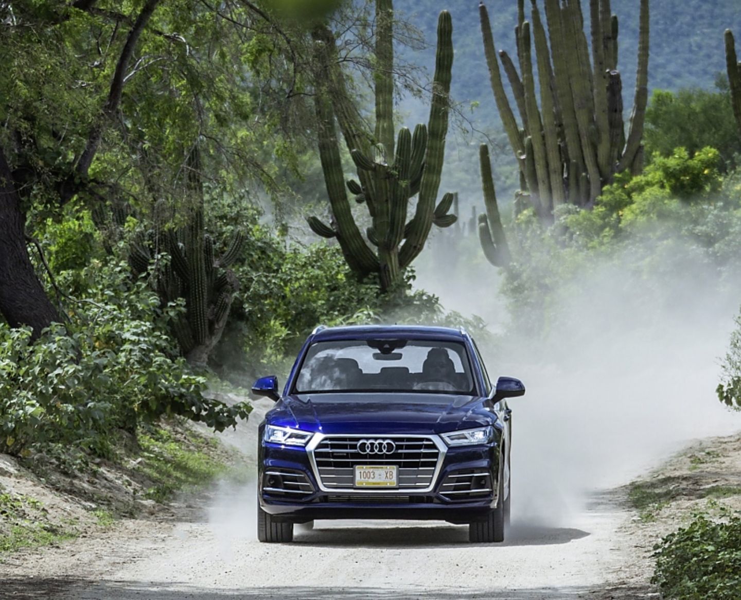 Audi Q5 2.0 TFSI Quattro - Siebengang-Doppelkupplungsgetriebe statt Achtgang-Automatik