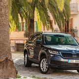 Skoda Kodiaq - Allradantrieb ist mehr als sinnvoll