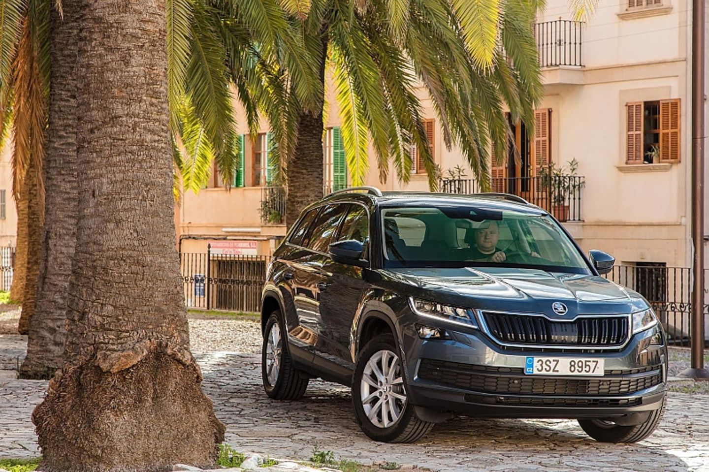 Skoda Kodiaq - Allradantrieb ist mehr als sinnvoll