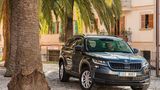 Skoda Kodiaq - Allradantrieb ist mehr als sinnvoll
