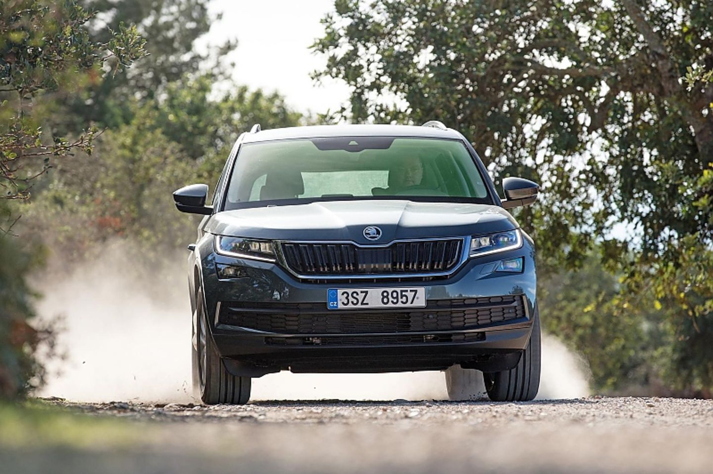 Skoda Kodiaq - wer will ist auch im leichten Gelände gut unterwegs