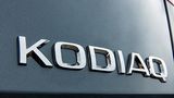 Skoda Kodiaq - bäriger Name