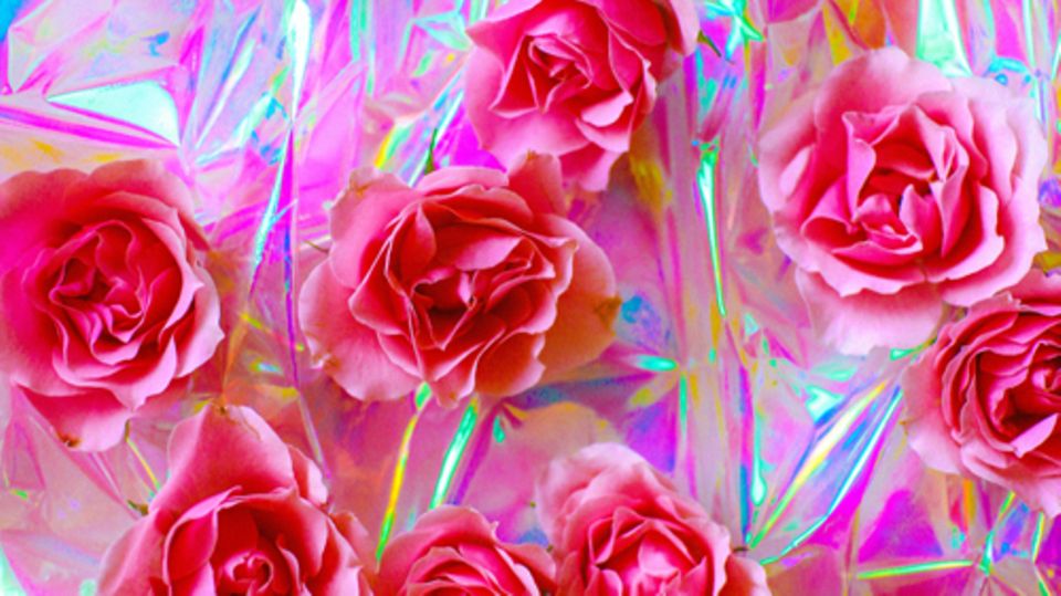 Partnerschaft: Das erste »Ich liebe dich«. Rosafarbene Rosen liegen auf einer Folie, die buntes Licht reflektiert.