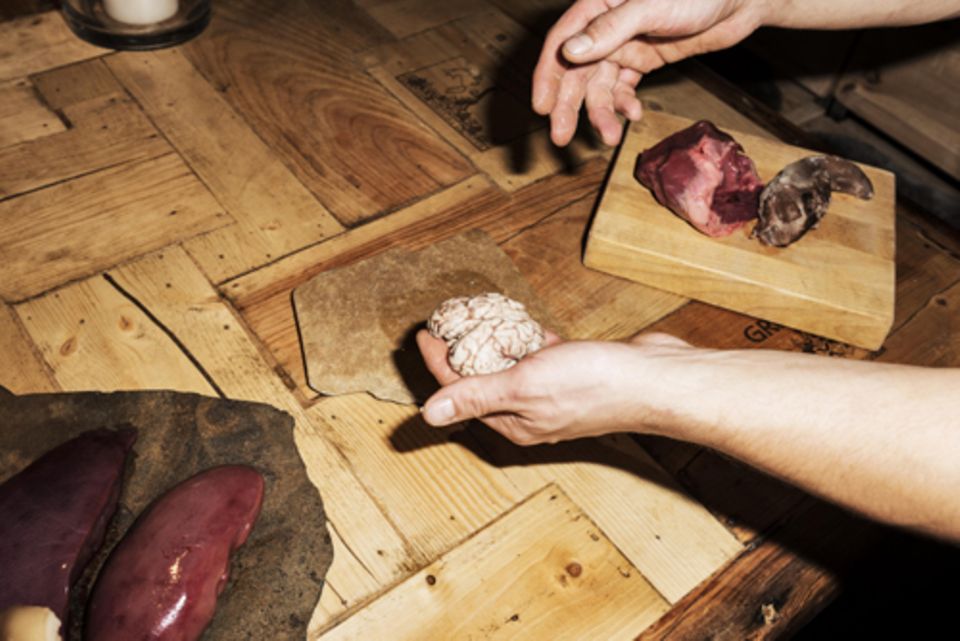 Zuhause: Tiere essen Zuhause: Tiere essen