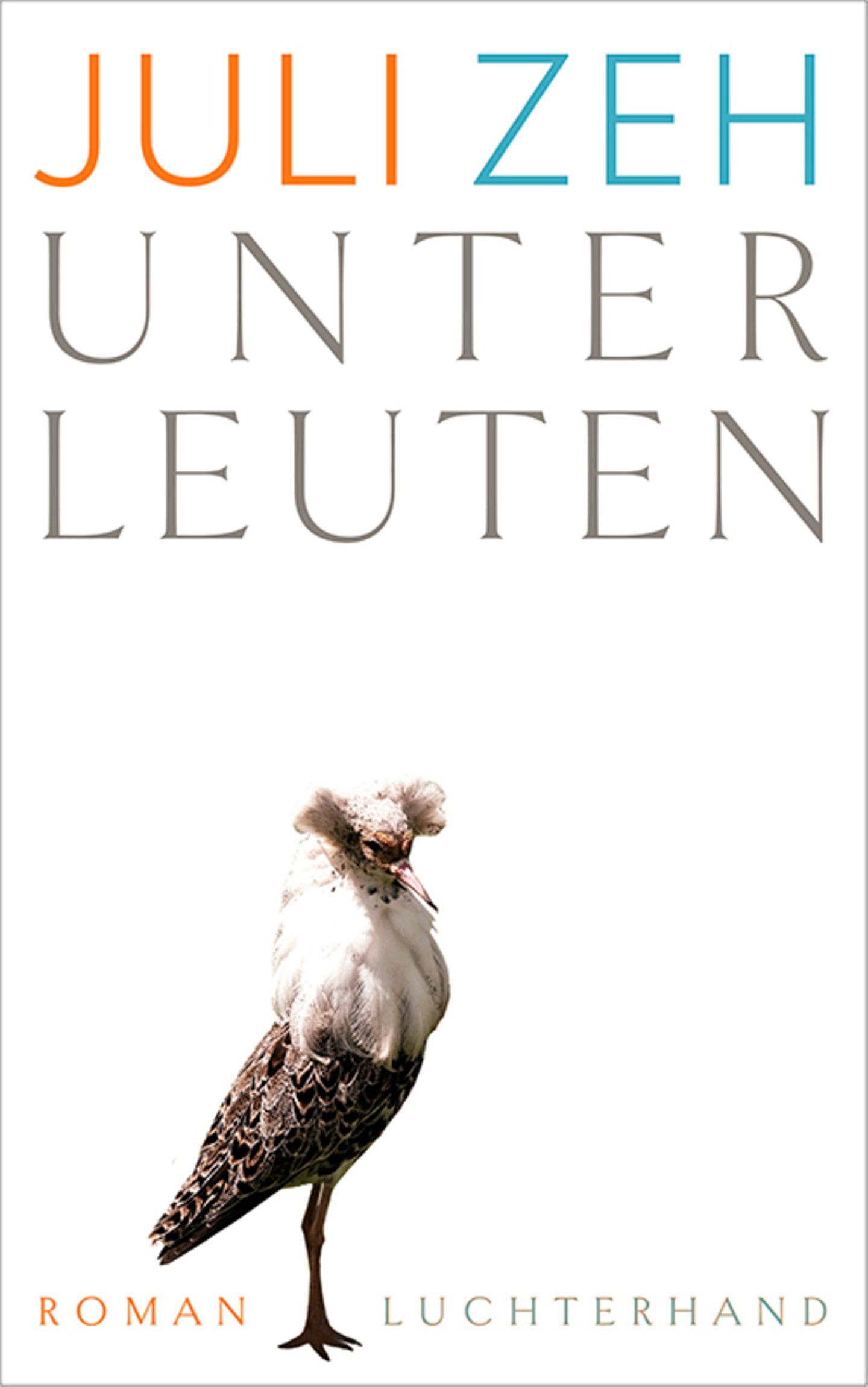 Juli Zeh hat ihrenn ersten Gesellschaftsroman veröffentlicht