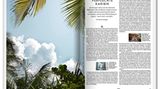 Verfluchte Karibik: Milliardäre planen auf einer Insel die kapitalistische Revolution