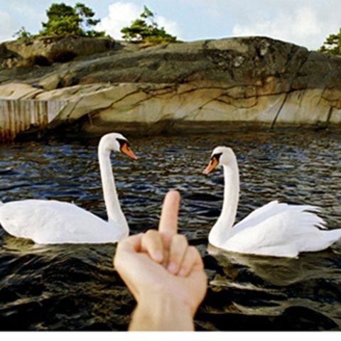 Liebe: Love hates you!