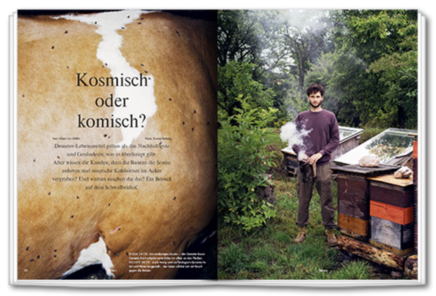 Kosmisch oder Komisch? Sind Demeter-Lebensmittel so gut wie ihr Ruf? Oder doch eher schwarze Magie?