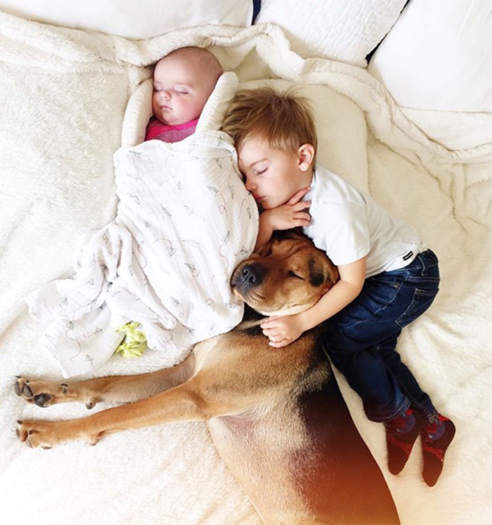 Русские мама собаками. Собака для детей. Домашние животные для детей. Рпьенок и собака. Собаки для семьи с детьми.