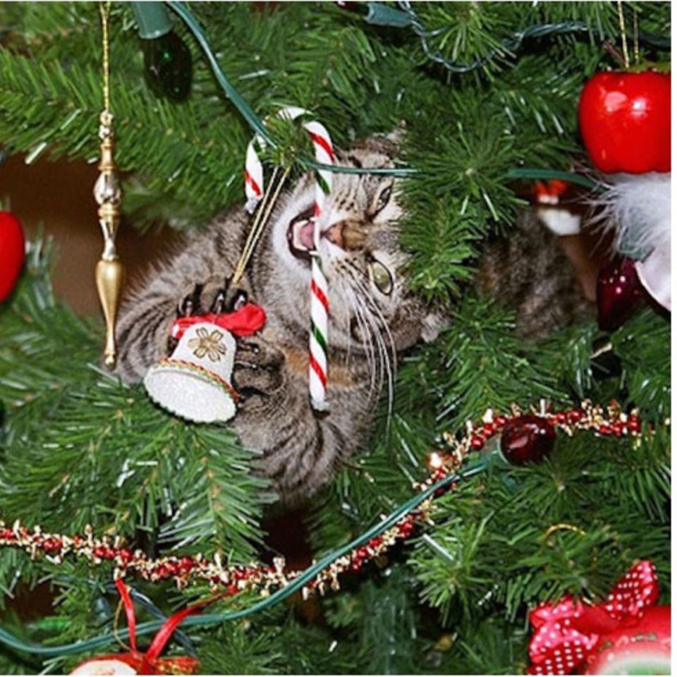 Freizeit: Weihnachts-Links der Woche #39 Freizeit: Weihnachts-Links der Woche #39