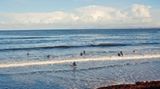 »Wie in Kalifornien«, sagt ein Thursoer erstaunt, als er die Horde Anfänger entdeckt. Die Surferin ganz vorn versucht, ihr Brett von den Algen zu befreien.