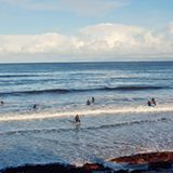 »Wie in Kalifornien«, sagt ein Thursoer erstaunt, als er die Horde Anfänger entdeckt. Die Surferin ganz vorn versucht, ihr Brett von den Algen zu befreien.