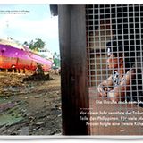 Die Unruhe nach dem Sturm: Vor einem Jahr zerstörte ein Taifun Teile der Philippinen. Für viele Mädchen und Frauen folgte eine zweite Katastrophe